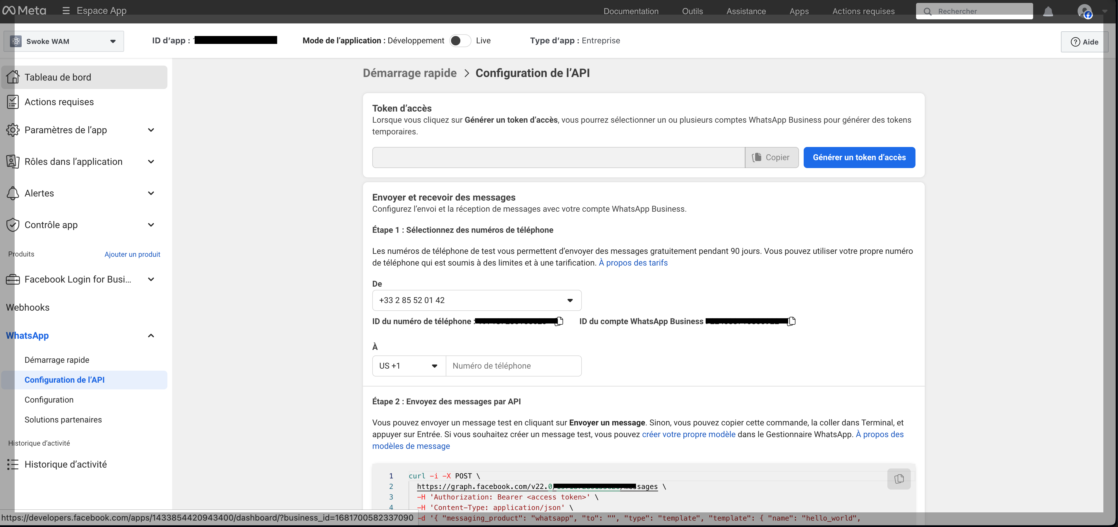 Capture configuration API Whatsapp